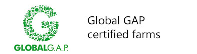 Global-GAP-certified-farm